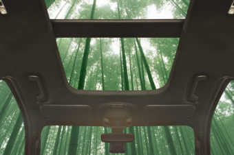 FORD INVESTIGATES USING BAMBOO FOR INTERIORS