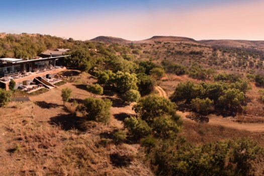 THE CRADLE OF FOOD & WINE FESTIVAL THIS AUGUST