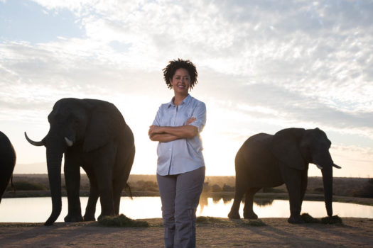 AMARULA RAISES ELEPHANT CONSERVATION AWARENESS ON WORLD ELEPHANT DAY