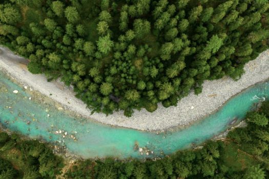 L’OREAL TO CONTRIBUTE €10 MILLION TO ENVIRONMENTAL PROJECTS