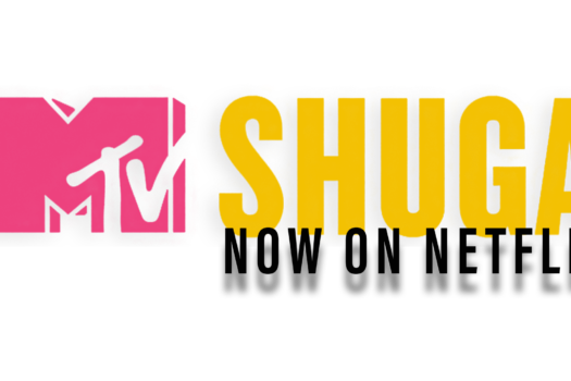 MTV SHUGA SERIES PREMIERES ON NETFLIX AFRICA