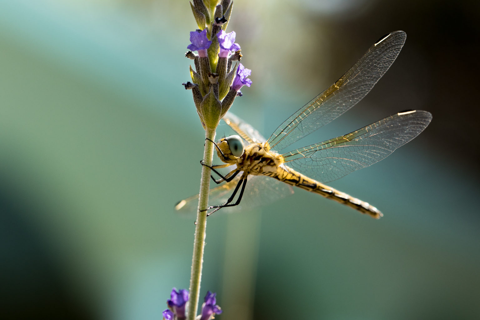 NATIONAL GEOGRAPHIC PHOTO COMPETITION 2022 NOW OPEN FOR ENTRIES