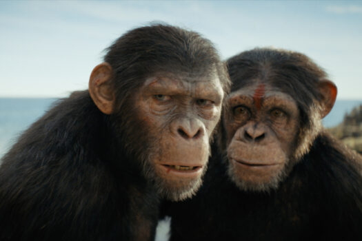 EXCITEMENT BUILDS OVER NEW “KINGDOM OF THE PLANET OF THE APES