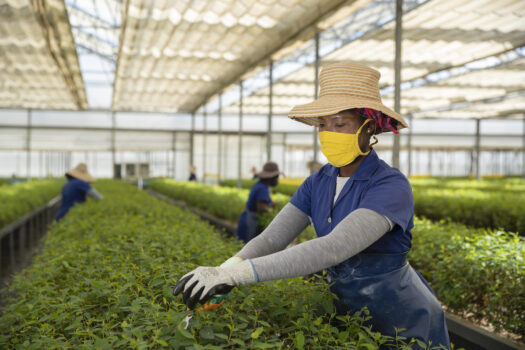 CAMPAIGN CHALLENGES COMPANIES WHO GREENWASH IN THE NAME OF SUSTAINABILITY