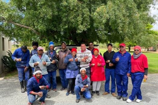 ‘HOW HEALTH PROPERTIES OF OLIVE OIL GAVE RISE TO RIO LARGO