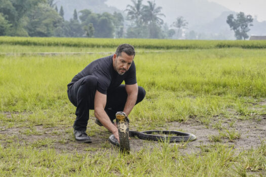 REAL MAGIC. EXTRAORDINARY PEOPLE. INCREDIBLE FEATS.