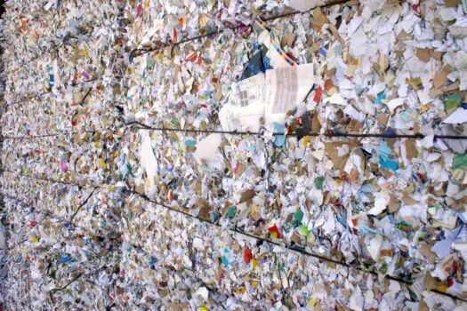 RECYCLE: GIVING YOUR PAPER AND CARDBOARD A SECOND LIFE