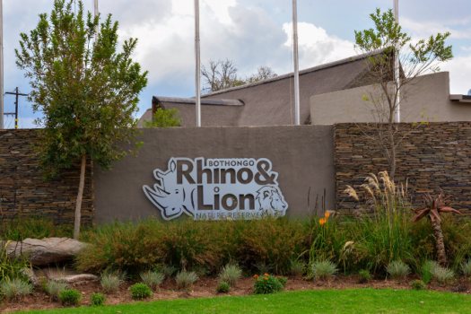 WHY THE BOTHONGO RHINO & LION NATURE RESERVE IS THE PERFECT GETAWAY