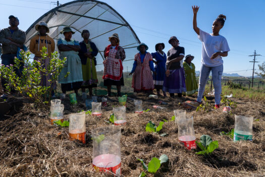 SANBI SECURED MAJOR CLIMATE ADAPTION FUNDING TO PROTECT SA COMMUNITIES