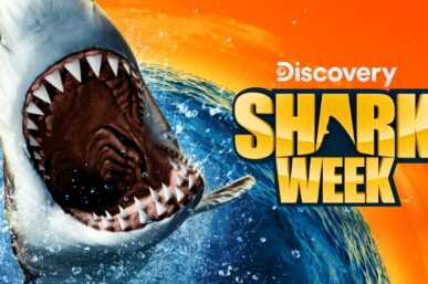 SHARK SPOTLIGHT ON SA: LOCAL TALENT MAKES WAVES IN DISCOVERY