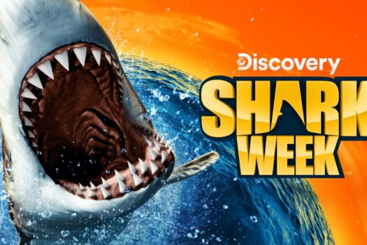 SHARK SPOTLIGHT ON SA: LOCAL TALENT MAKES WAVES IN DISCOVERY