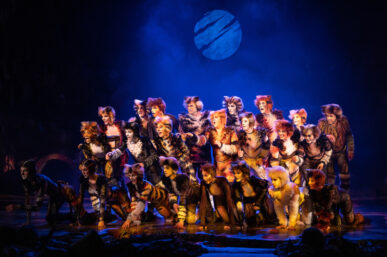 STELLAR CAST ANNOUNCED FOR CATS THE MUSICAL, OPENING THIS DECEMBER