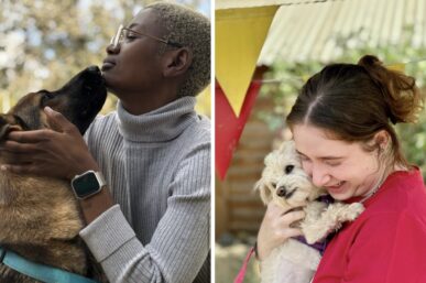 WOODROCK ANIMAL RESCUE’S BELOVED POP-PUPS RETURN TO JOBURG THIS WEEKEND