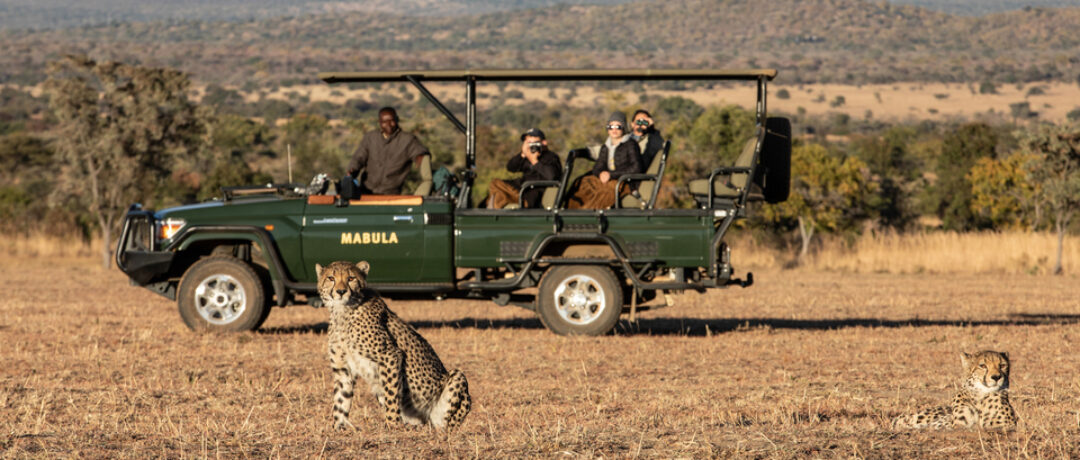 LIONS CRICKET TO BRING WILDLIFE CONSERVATION INTO SCHOOLS