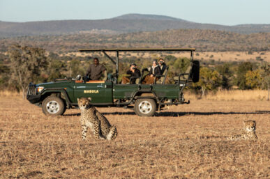 LIONS CRICKET TO BRING WILDLIFE CONSERVATION INTO SCHOOLS
