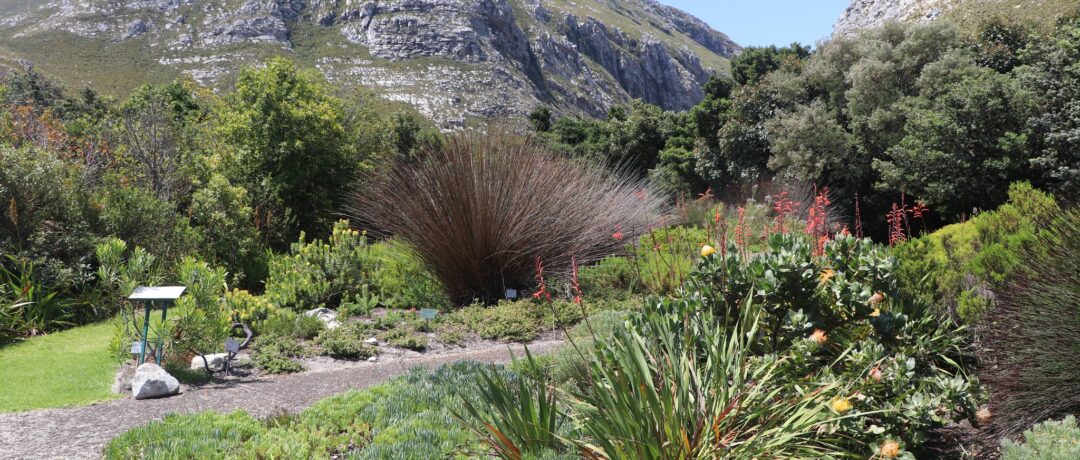 SA’S NATIONAL GARDENS FREE ENTRY DURING NATIONAL GARDENS WEEK