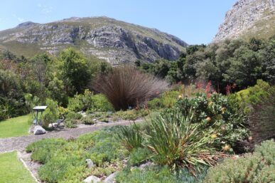 SA’S NATIONAL GARDENS FREE ENTRY DURING NATIONAL GARDENS WEEK