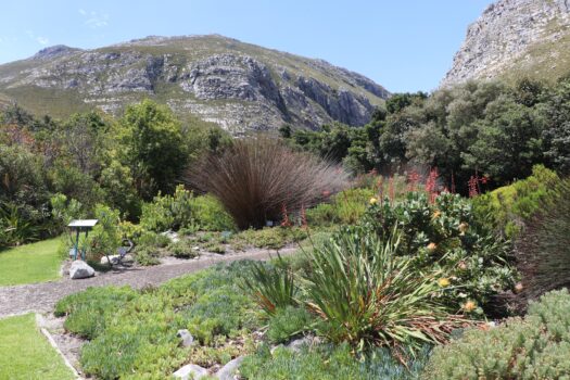 SA’S NATIONAL GARDENS FREE ENTRY DURING NATIONAL GARDENS WEEK