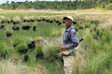 NATGEO WILD UNVEILS PREMIERE DATE FOR GHOST ELEPHANTS