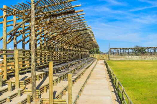 FOREST STEWARDSHIP COUNCIL(FSC) STADIUM OF LIFE OPENS IN MASERU