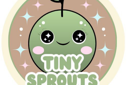 NEW JOBURG INITIATIVE TING SPROUTS CHAMPIONS ‘PLAY-TO-LEARN’ FOUNDATIONS