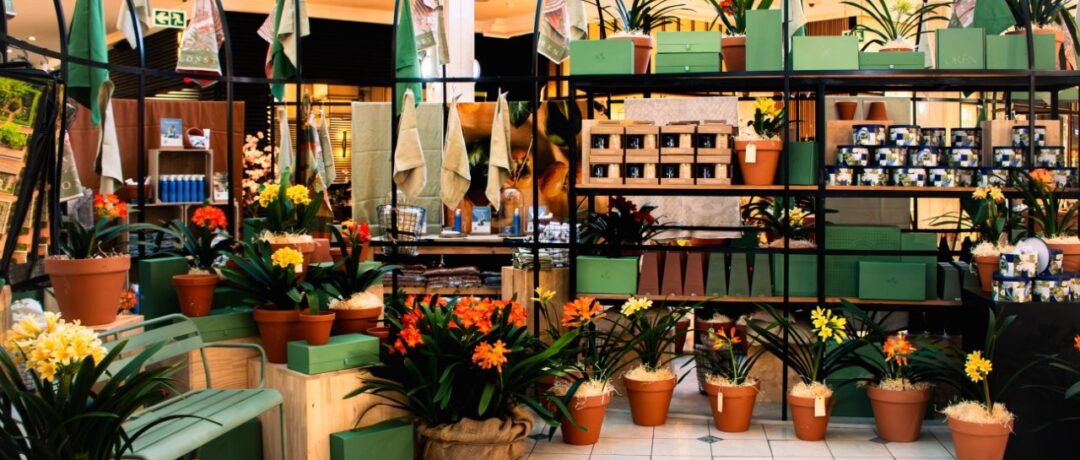 JOBURG GETS A TASTE OF BABYLONSTOREN AS HYDE PARK CORNER BLOOMS FOR SPRING